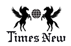 TimesNew logo